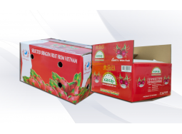 Carton Thanh Long Lớn